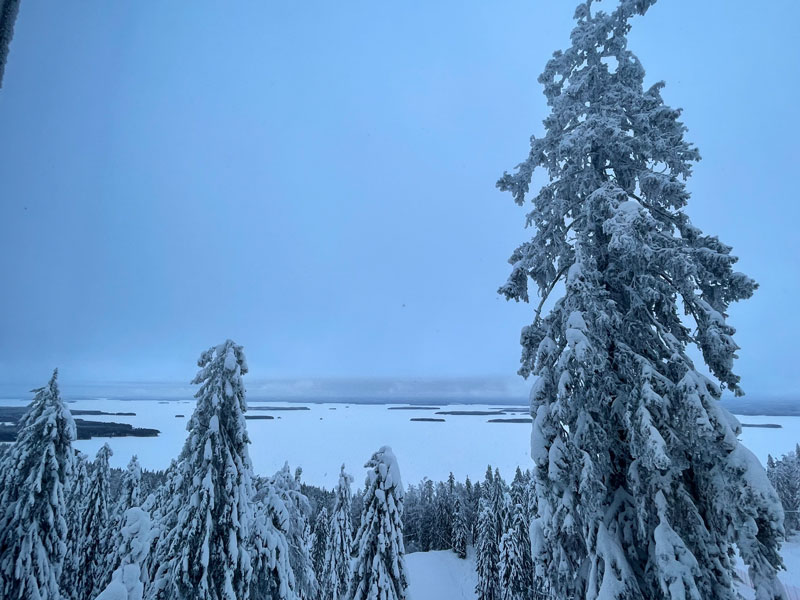 Winter ervaring in Koli, Finland