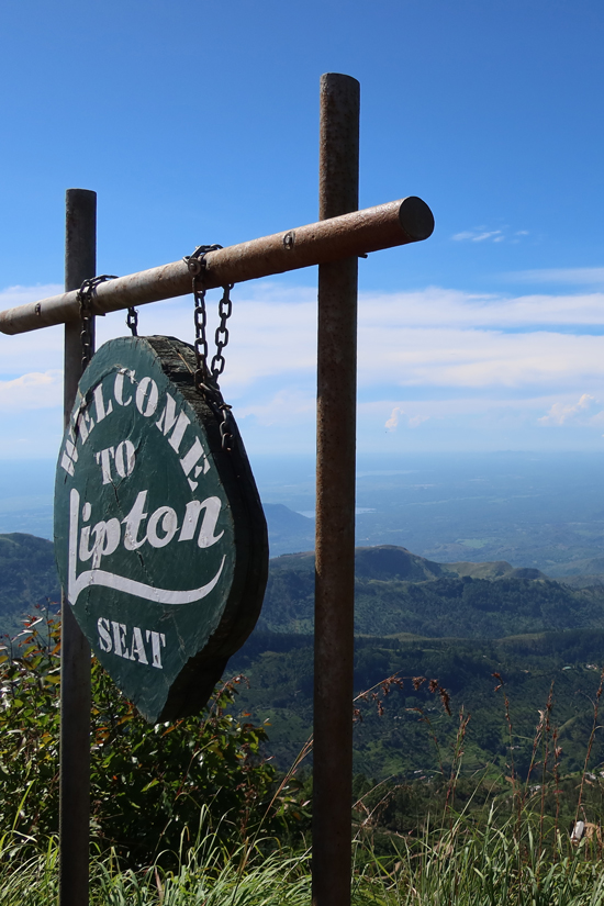 Ella: onze favoriet in Sri Lanka ella lipton1
