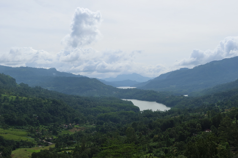 Onze foto’s van Sri Lanka op een rij ella uitzicht2