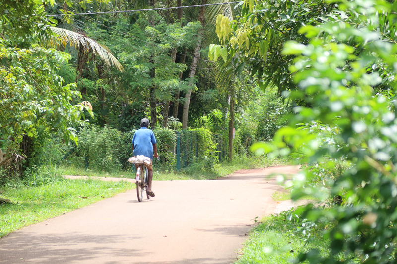 Reisroute Sri Lanka: onze favoriete rondreis negombo fietsen