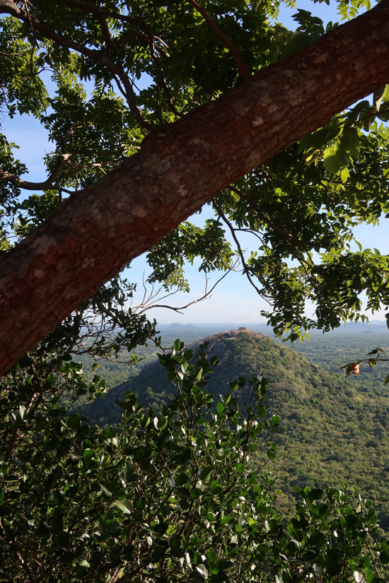 sigiriya rock
