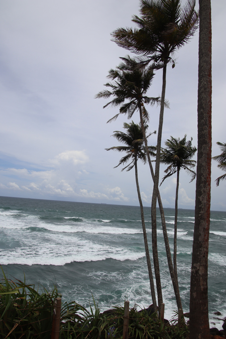 Coconut Tree Hill in Mirissa near Unawatuna