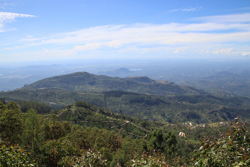 Ella: onze favoriet in Sri Lanka ella lipton view point