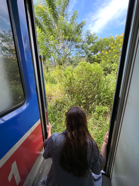Ella: onze favoriet in Sri Lanka ella treinreis1