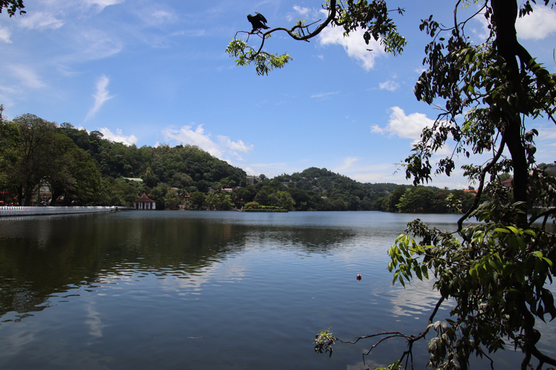Kandy - culturele stad tussen heuvels en natuur kandy lake uitzicht