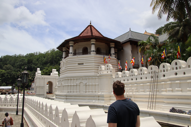 Kandy - culturele stad tussen heuvels en natuur kandy lake uitzicht2