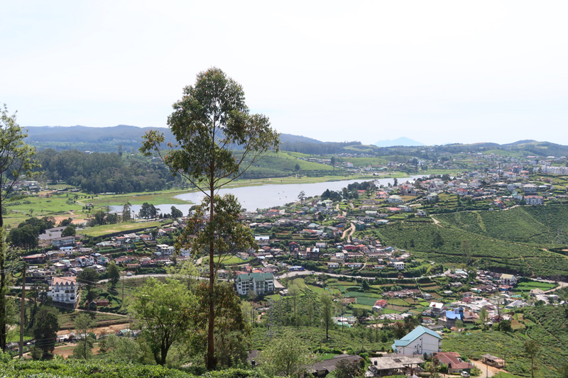 nuwara eliya tee hike1