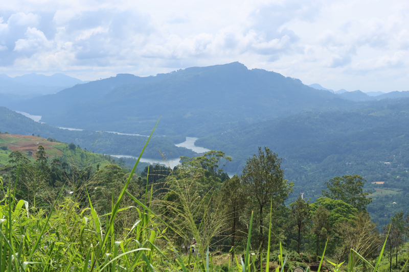 Onze foto’s van Sri Lanka op een rij nuwara eliya uitzicht