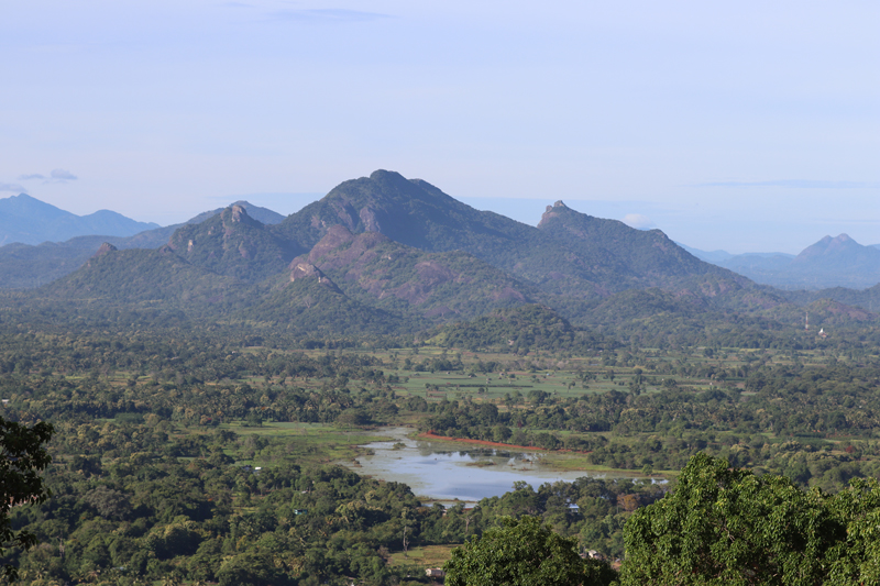 Sigiriya, groen, olifanten en de iconische Lion Rock sigiriya lion rock beklimmen view