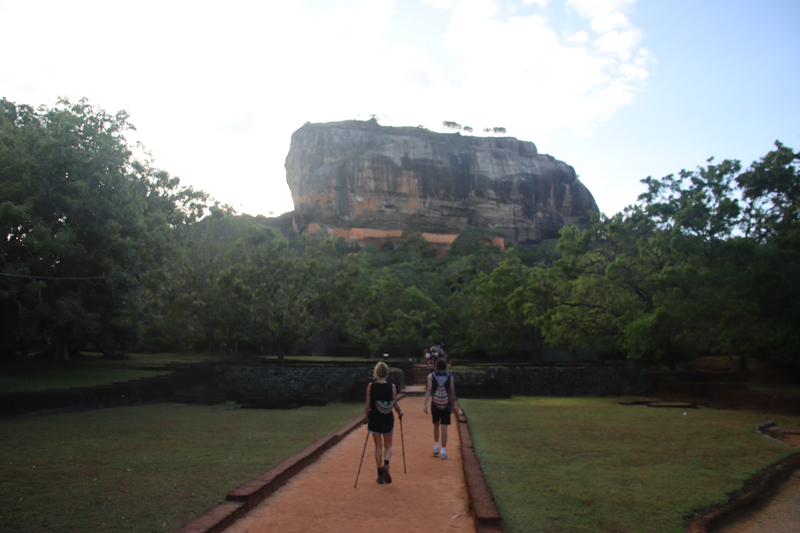 Sigiriya, groen, olifanten en de iconische Lion Rock sigiriya lion rock beklimmen