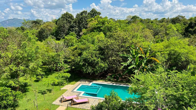 Sigiriya, groen, olifanten en de iconische Lion Rock Into The Wild Sigiriya