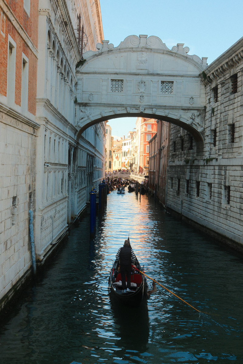 venetie brugderzuchten