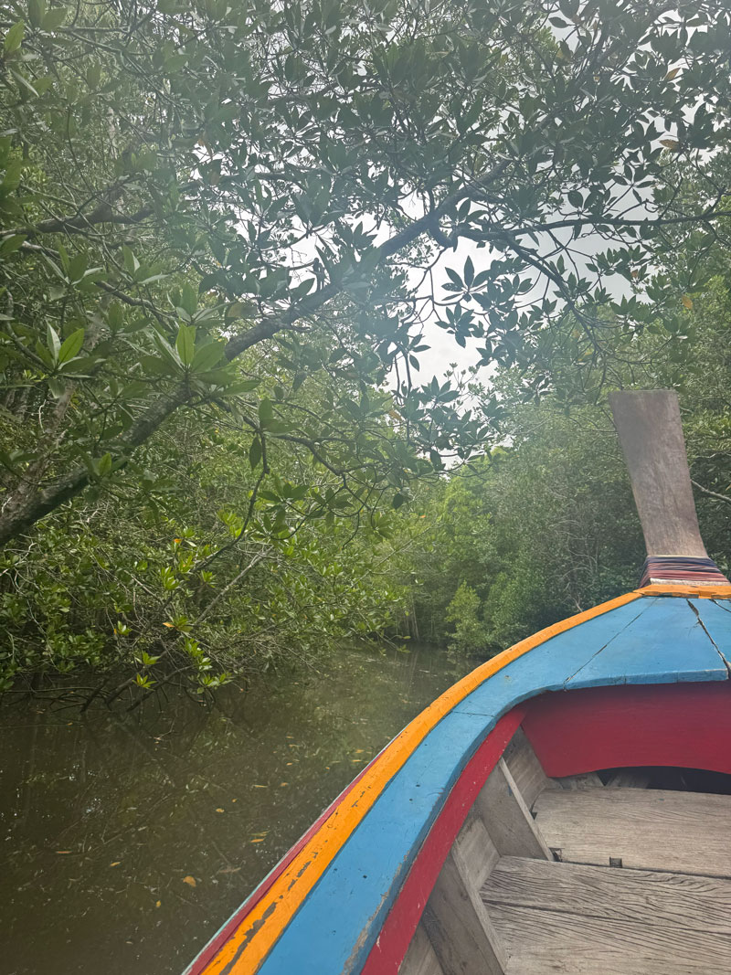 Koh Lanta tips: relaxed eiland in Thailand koh lanta mangrove