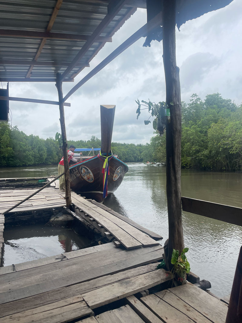 Koh Lanta tips: relaxed eiland in Thailand koh lanta mangrove1