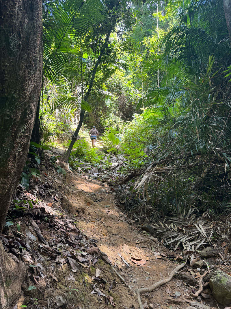 Koh Lanta tips: relaxed eiland in Thailand koh lanta national park6