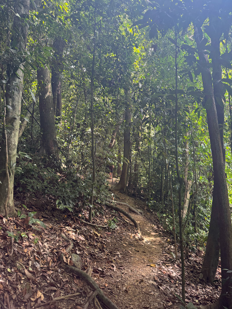 Koh Lanta tips: relaxed eiland in Thailand koh lanta national park7